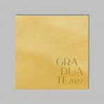 Slimbook обкладинка екошкіра 